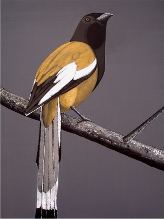 Rajan Krishnan PASTORAL FINCH 2013 Acrylic on canvas 48 x 36 in.