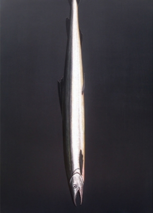 Rajan Krishnan Fish from the River in the Monsoon 2011 Acrylic on canvas 84 x 60 in.