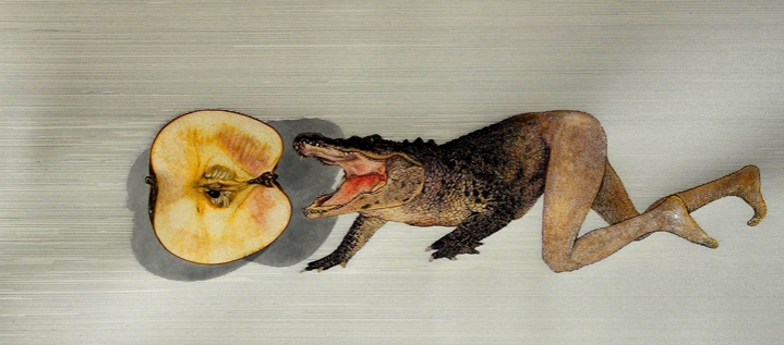 Combination of an alligator and a human eating half of an apple.