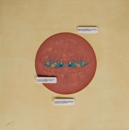 Tazeen Qayyum AVOID EXTREME COLD 2008 Gouache, entomology pins and labels on wasli 11 x 11 in.