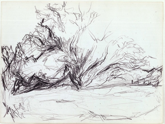 Untitled (Dune brush), 1953 (August 14)