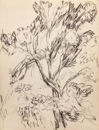 Untitled, 1953, black conte pencil on paper, 12 x 9 in. dated "8-7-53" verso