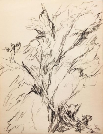 Untitled, 1953, black conte pencil on paper, 12 x 9 in. dated "8-7-53" verso