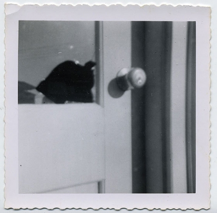 Broken Window, 1960s, 3 3/16 x 3 5/16 in.