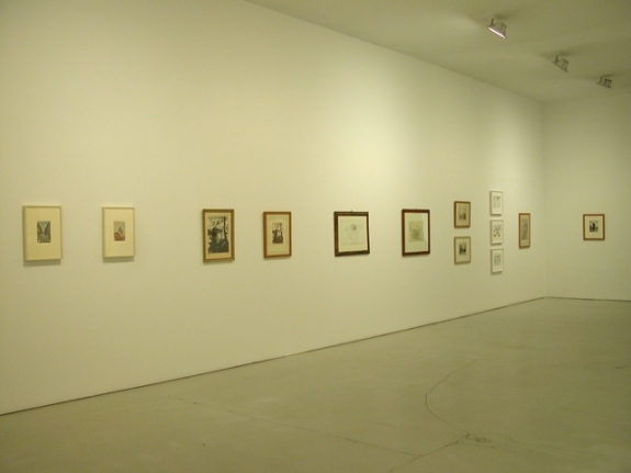 Installation of Swiss Mountainscapes, January 25 – March 24, 2007