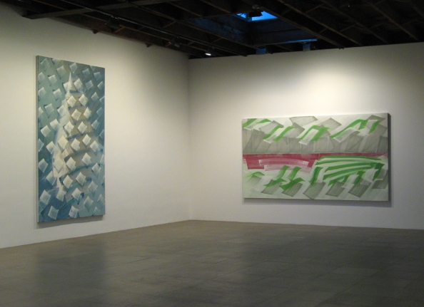 Installation view of Robert Zandvliet, Inner Landscapes, 2008 at Peter Blum Chelsea.