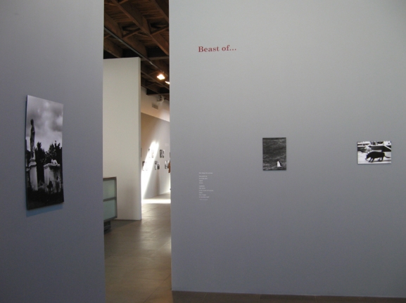 Chris Marker Staring Back Exhibition Peter Blum SoHo 2007