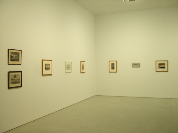 Installation of Swiss Mountainscapes, January 25 – March 24, 2007