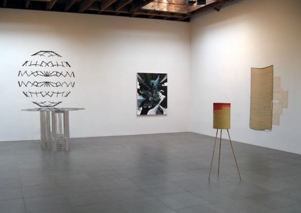 Stubborn Materials Group Exhibition Peter Blum Chelsea 2007