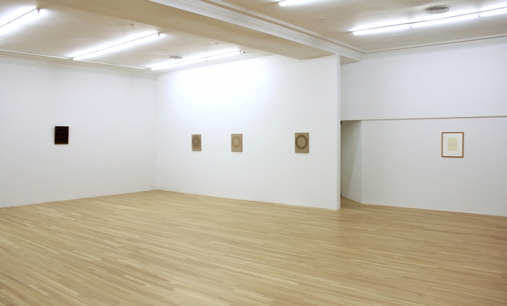 Installation of The Ferner Paintings, November 14, 2013 – January 18, 2014