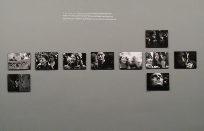 Chris Marker Staring Back Exhibition Peter Blum SoHo 2007
