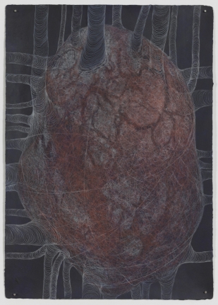 Untitled, 2014 colored pencil on acrylic on paper