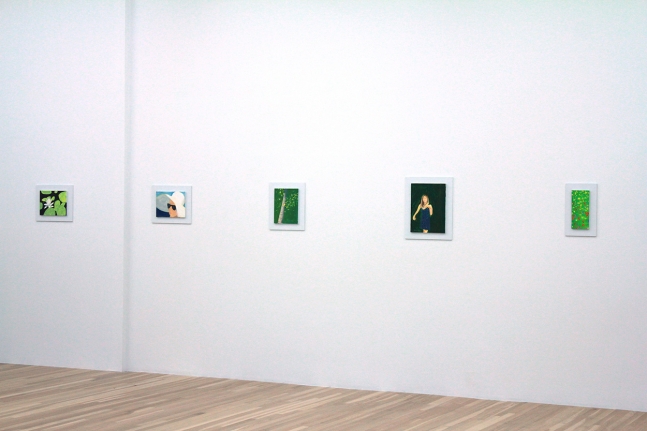 Installation of Small Paintings 1987-2013, September 19 – November 2, 2013