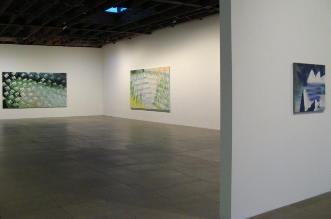 Installation view of Robert Zandvliet, Inner Landscapes, 2008 at Peter Blum Chelsea.