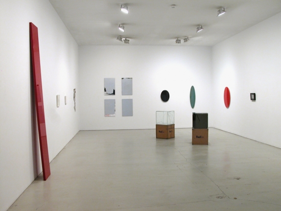 Installation view of Reflection, Group Exhibition, 2010 at Peter Blum SoHo.