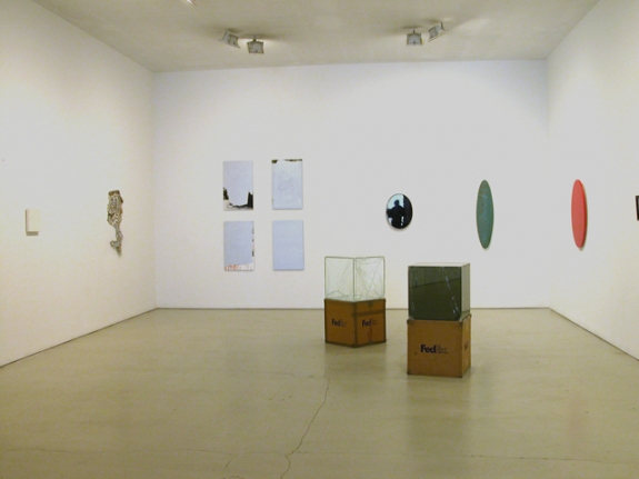 Installation view of Reflection, Group Exhibition, 2010 at Peter Blum SoHo.