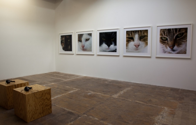 Installation view of Su-Mei Tse, Words and Memories, 2009 at Peter Blum Chelsea.
