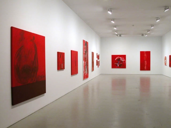 Installation view of Jason Fox, The Upper Depths, 2009 at Peter Blum SoHo.