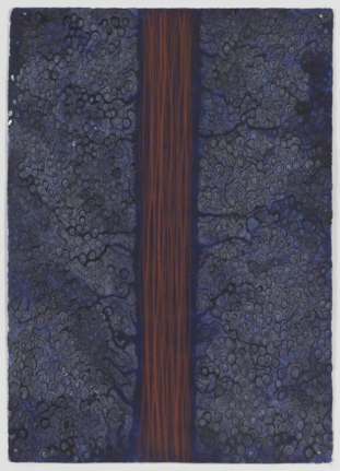 Cascade, 2014 colored pencil on acrylic on paper