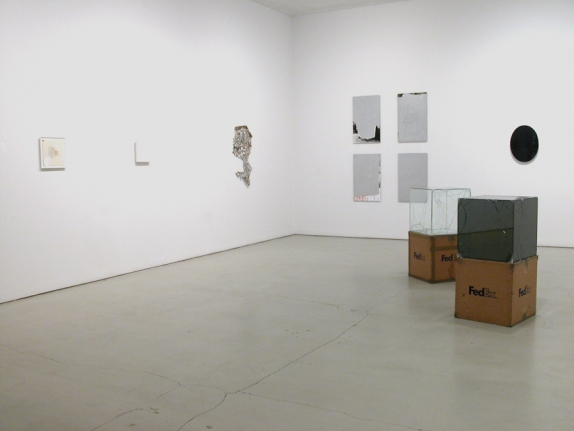 Installation view of Reflection, Group Exhibition, 2010 at Peter Blum SoHo.