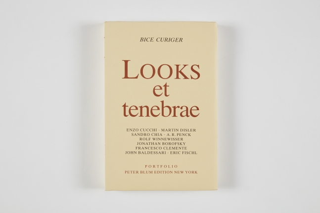 Bice Curiger, Looks et Tenebrae, 1984, 