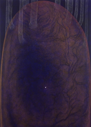 Lingam-Yoni, 2016 colored pencil, acrylic on canvas