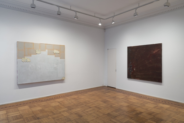 Brenna Youngblood: Affection Installation View