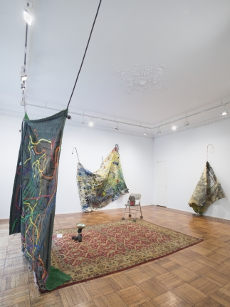 Noel Anderson: Mascuminity Installation View