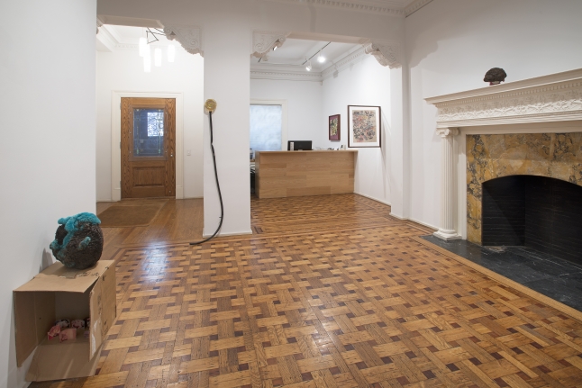 Noel Anderson: Mascuminity Installation View