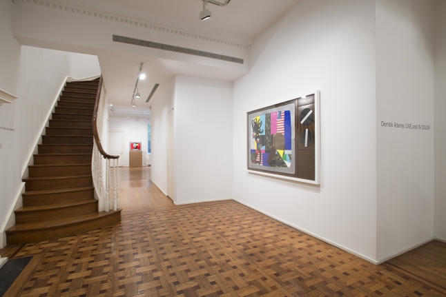 Derrick Adams: LIVE and IN COLOR Installation View