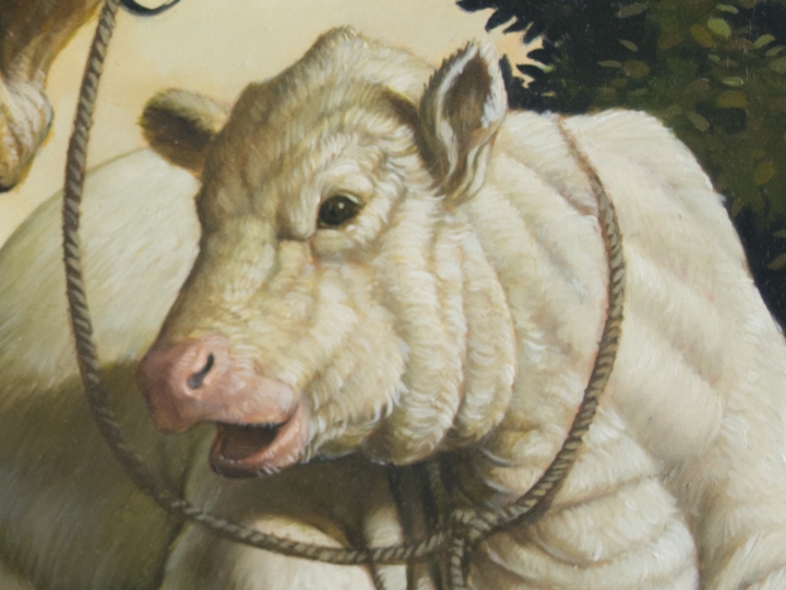 Erik Thor Sandberg cow