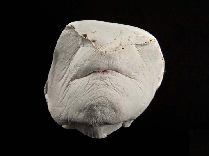 J.J. McCracken, Mouth of the Scold