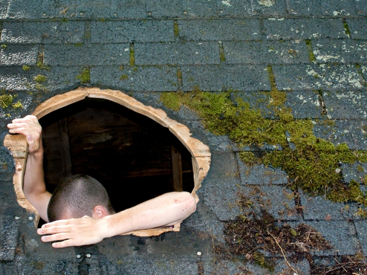 COBLE/RILEY PROJECTS Ascension/Immersion (video still)