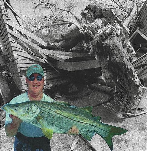 John Loring Artists GAVLAK