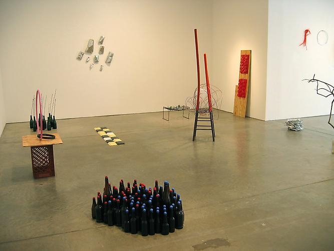 Tony Feher - Exhibitions - D'Amelio Gallery