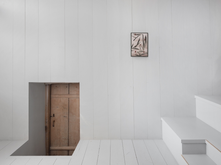 Albrecht Schnider: Online exhibition