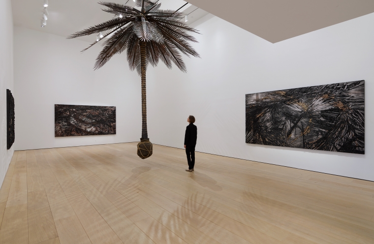 Teresita Fernández: Maelstrom