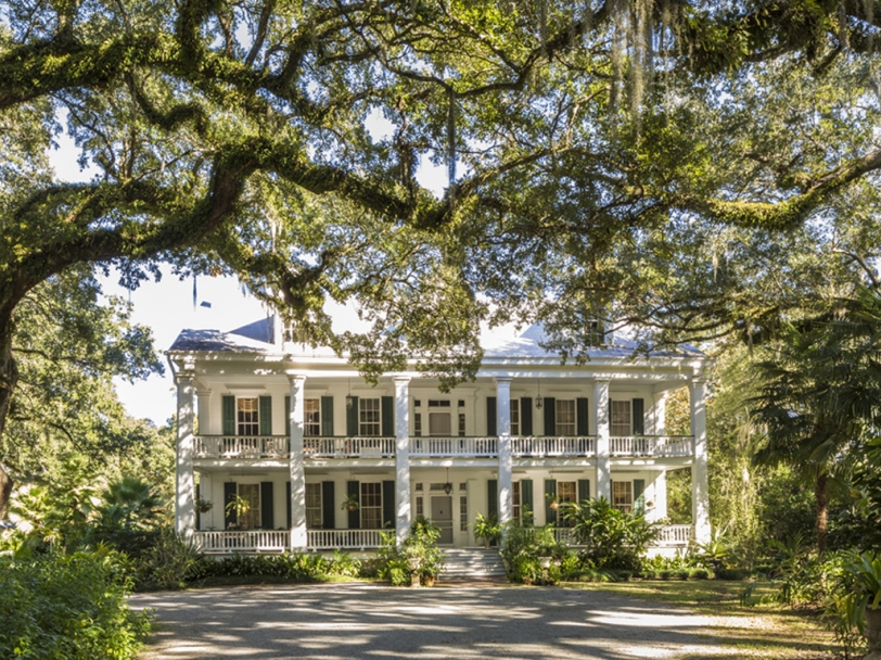 Hunt's Homes Hunt Slonem