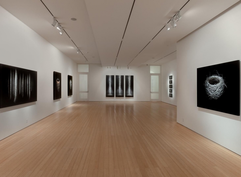 Mitchell Lonas: Stillness