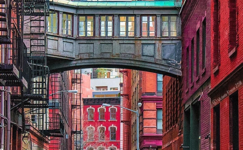 Inside The Tribeca Art Migration