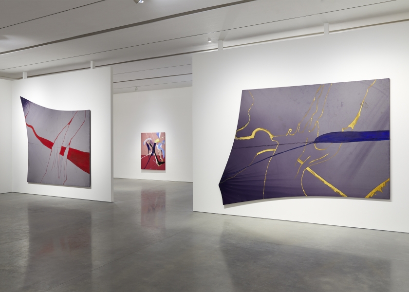 The Patch of Blue the Prisoner Calls the Sky, Pace Gallery, New York, 2020