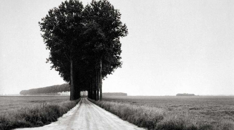 The World of Henri Cartier-Bresson