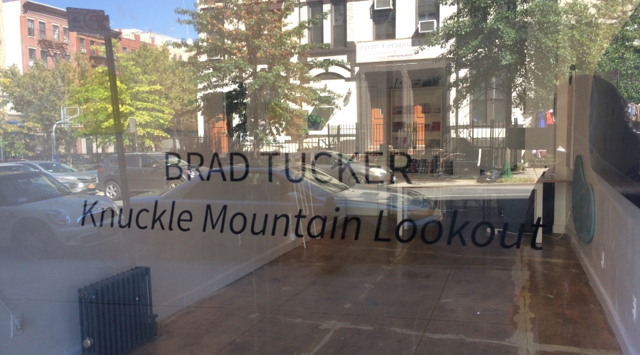Brad Tucker