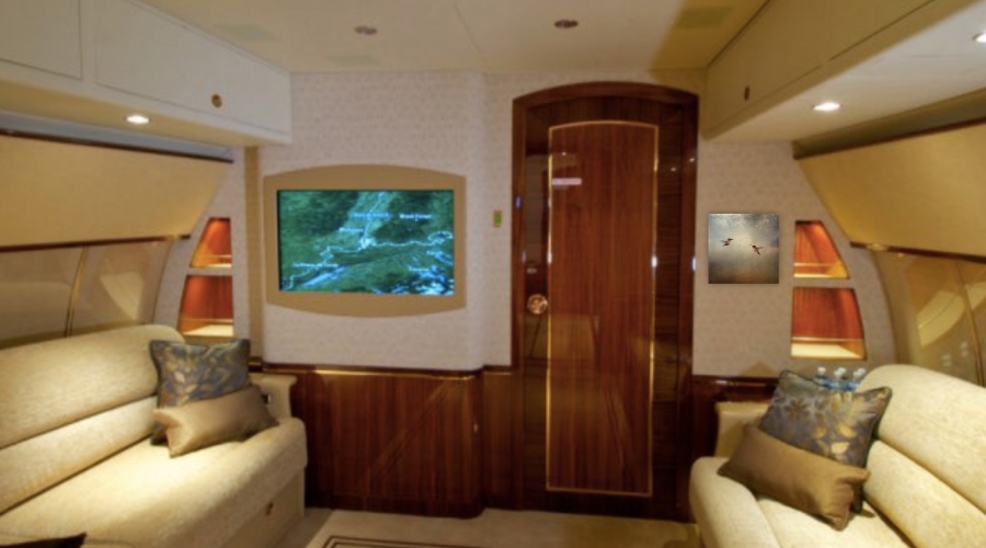 Private Aircraft Art Consultation