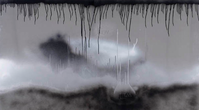 Douglas Gordon - View More
