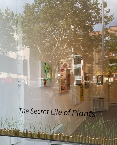 The Secret Life of Plants