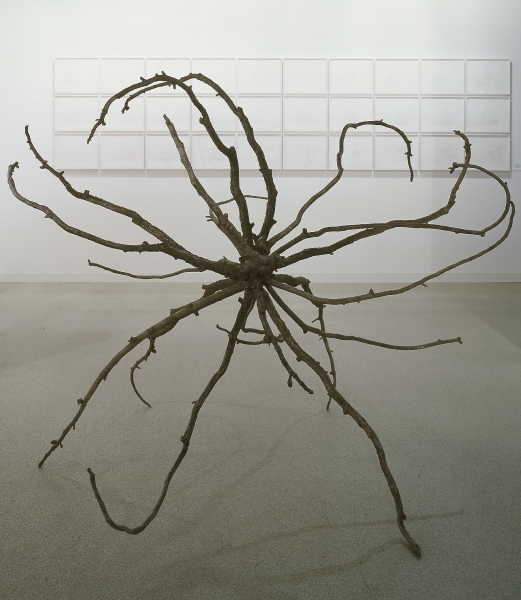 Liz Larner, Ghost Story