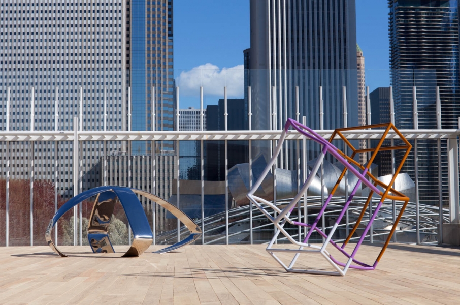 Liz Larner - Art Institute of Chicago