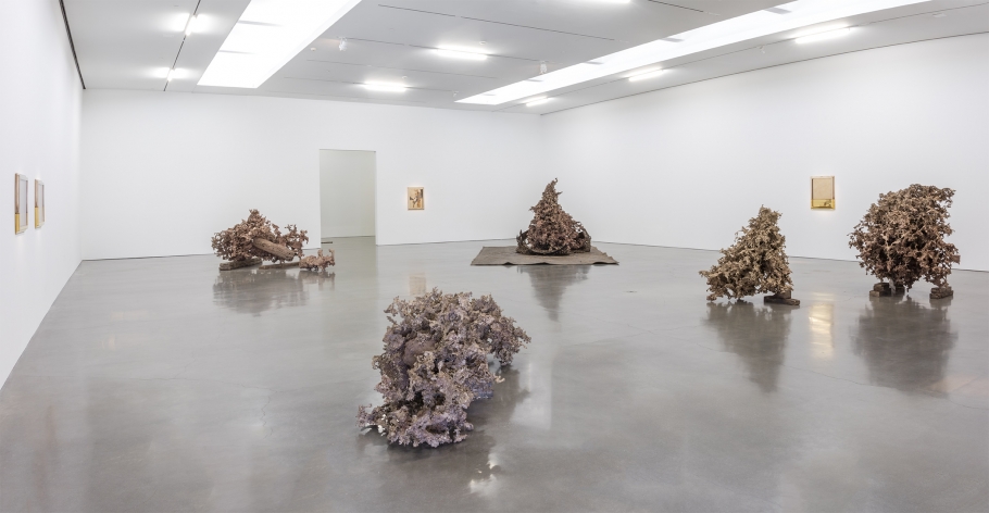 Matthew Barney - Water Castings