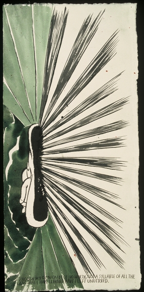 Raymond Pettibon